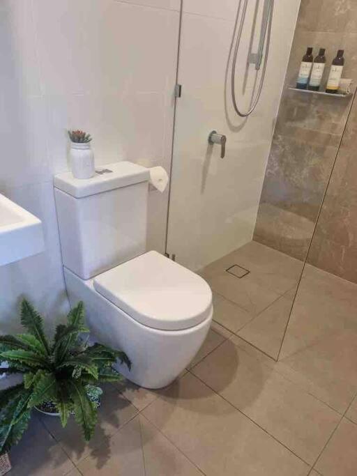 Modern 1 Brm Apartment With Pool Close To Beach 골드코스트 외부 사진