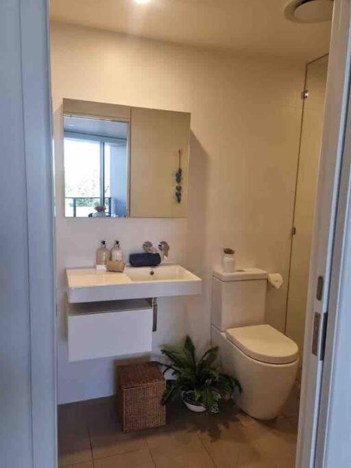 Modern 1 Brm Apartment With Pool Close To Beach 골드코스트 외부 사진